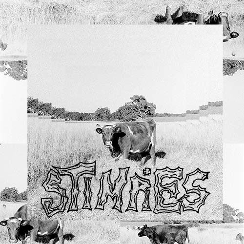 Stimpies cover for Frankly Federal Slander.